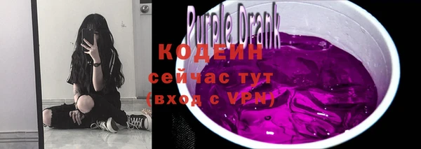 гашик Белокуриха