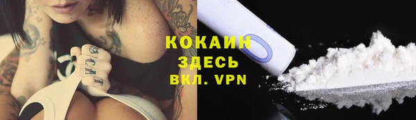 гашик Белокуриха